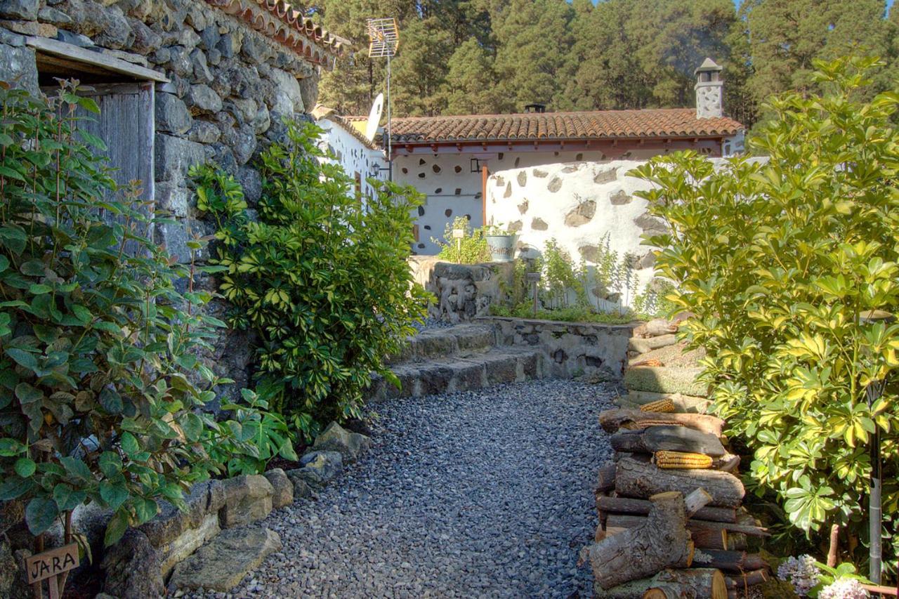 Holidaynorthtenerife Casa Rural Montiel Икод де лос Винос Екстериор снимка